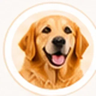 Köpek
