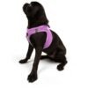 Tailpetz Air-Mesh Harness Köpek Göğüs Tasması Lila S