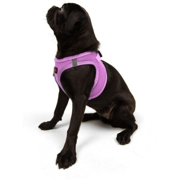 Tailpetz Air-Mesh Harness Köpek Göğüs Tasması Lila S