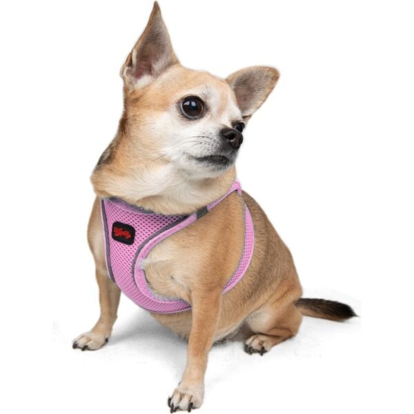 Tailpetz Air-Mesh Harness Köpek Göğüs Tasması Lila S