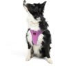 Tailpetz Air-Mesh Harness Köpek Göğüs Tasması Lila S