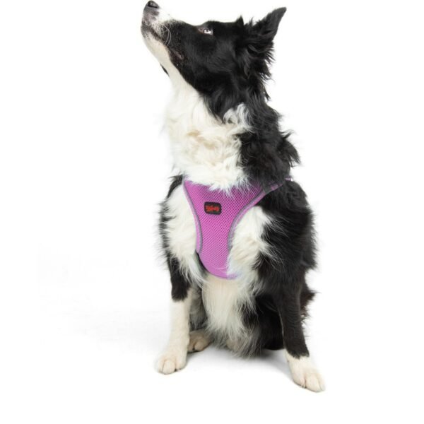 Tailpetz Air-Mesh Harness Köpek Göğüs Tasması Lila S
