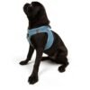 Tailpetz Air-Mesh Harness Köpek Göğüs Tasması M Mavi