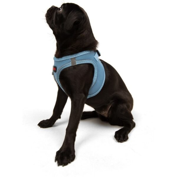 Tailpetz Air-Mesh Harness Köpek Göğüs Tasması M Mavi