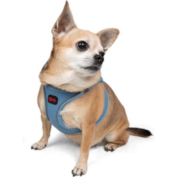 Tailpetz Air-Mesh Harness Köpek Göğüs Tasması M Mavi