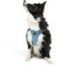 Tailpetz Air-Mesh Harness Köpek Göğüs Tasması M Mavi