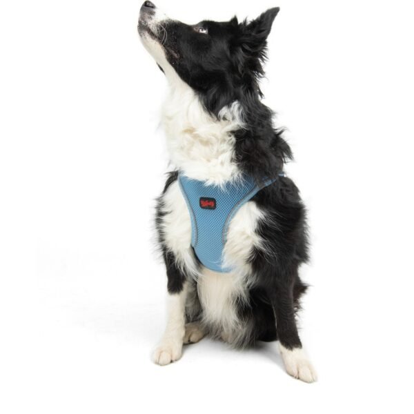 Tailpetz Air-Mesh Harness Köpek Göğüs Tasması M Mavi