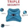 Tailpetz Air-Mesh Harness Köpek Göğüs Tasması M Mavi