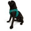 Tailpetz Air-Mesh Harness Köpek Göğüs Tasması Yeşil L