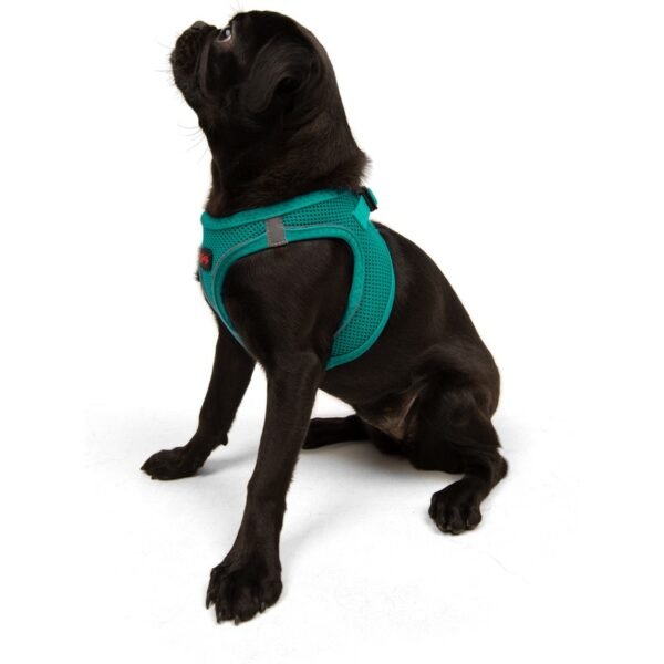 Tailpetz Air-Mesh Harness Köpek Göğüs Tasması Yeşil L