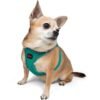 Tailpetz Air-Mesh Harness Köpek Göğüs Tasması Yeşil L