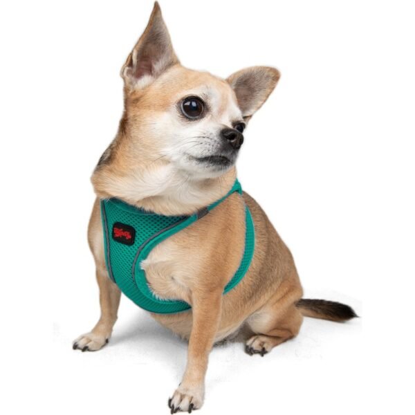 Tailpetz Air-Mesh Harness Köpek Göğüs Tasması Yeşil L
