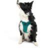 Tailpetz Air-Mesh Harness Köpek Göğüs Tasması Yeşil L