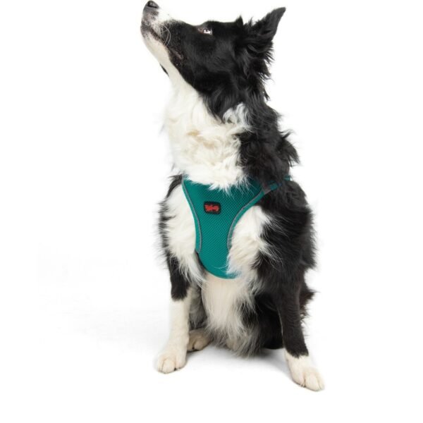 Tailpetz Air-Mesh Harness Köpek Göğüs Tasması Yeşil L