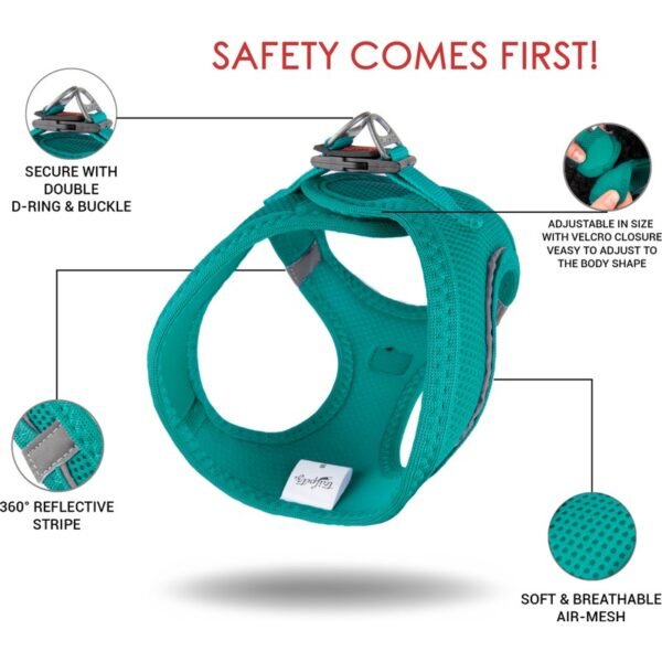 Tailpetz Air-Mesh Harness Köpek Göğüs Tasması Yeşil L