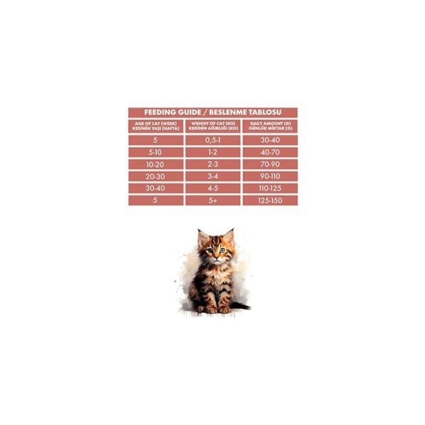 Pro Performance Mother & Baby Kitten Somonlu Pirinçli Anne ve Yavru Kedi Maması 2 kg