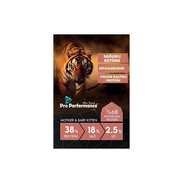 Pro Performance Mother & Baby Kitten Somonlu Pirinçli Anne ve Yavru Kedi Maması 2 kg