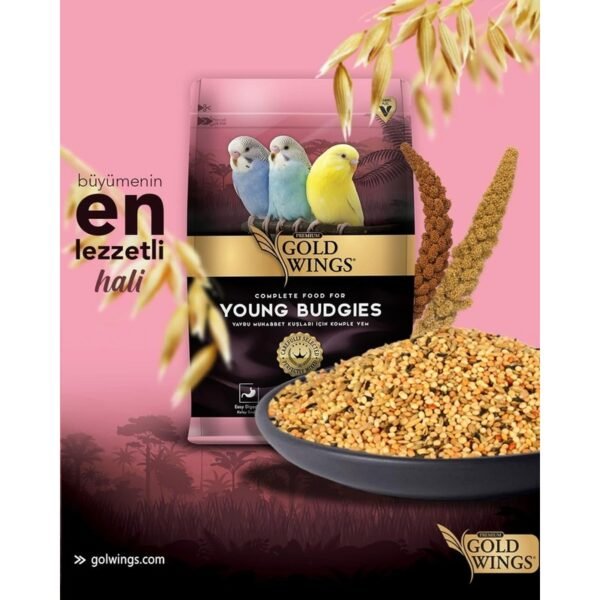 110001897284267-1.jpg Gold Wings Premium Yavru Muhabbet Kuşu Yemi 1 kg