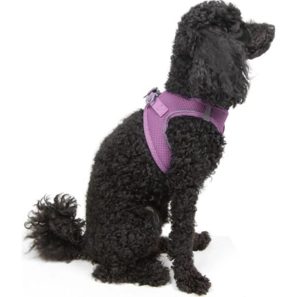Tailpetz Air-Mesh Harness Köpek Göğüs Tasması Lila XL