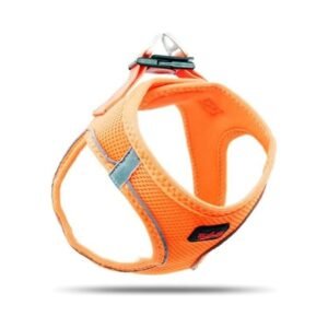 Tailpetz Turuncu XS Köpek Göğüs Tasması