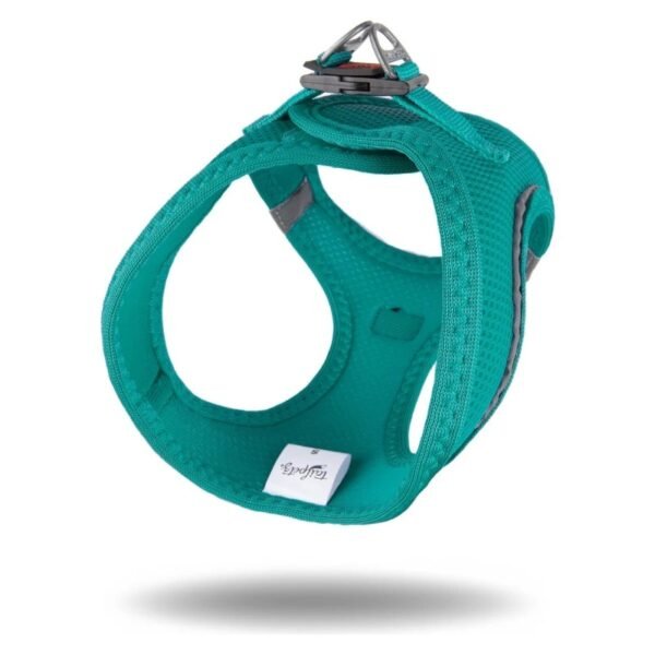 Tailpetz Air-Mesh Harness Köpek Göğüs Tasması Yeşil M