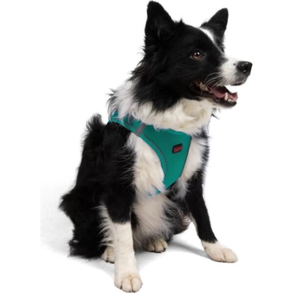 Tailpetz Air-Mesh Harness Köpek Göğüs Tasması Yeşil M