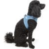 Tailpetz Air-Mesh Harness Köpek Göğüs Tasması Mavi L