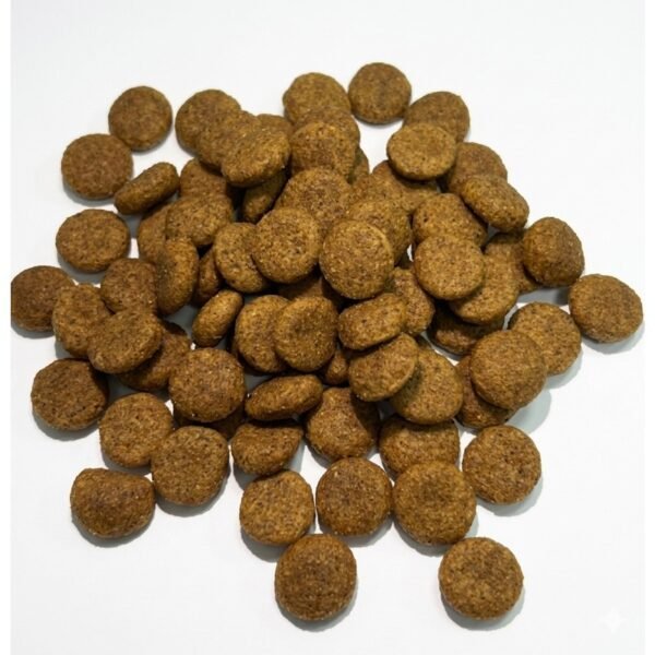 Tugz Kuzulu Yetişkin Köpek Maması 15 kg | Kuzu Etli Büyük Paket Kuru Köpek Maması