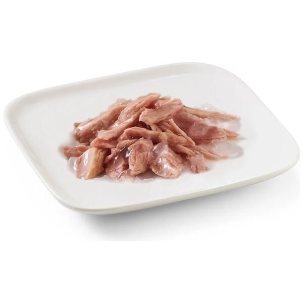 Schesir Ton Balığı Filetolu Jöleli Yetişkin Köpek Maması 3 x 150 g