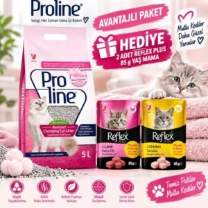Proline pudra kokulu kedi kumu